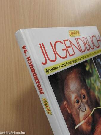 Treff Jugendbuch '94