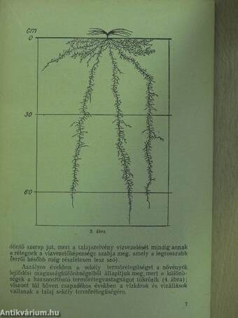 A talajok hő- és vízgazdálkodása