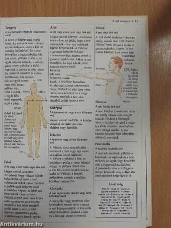 Az emberi test kisenciklopédiája