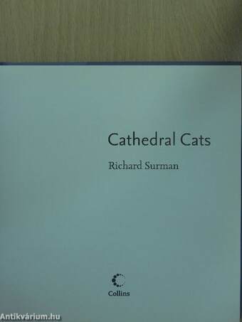 Cathedral Cats