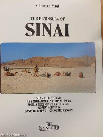 The Peninsula of Sinai