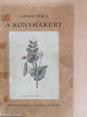 A konyhakert