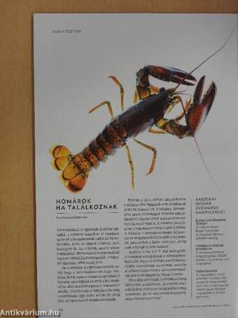 National Geographic Magyarország 2017. július