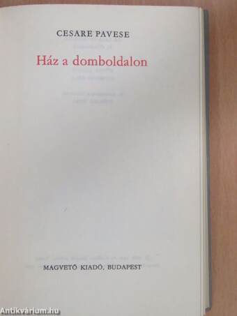 Ház a domboldalon