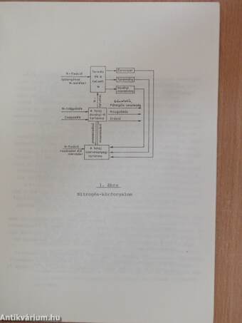 A nitrogén átalakulása és mozgása a talajban