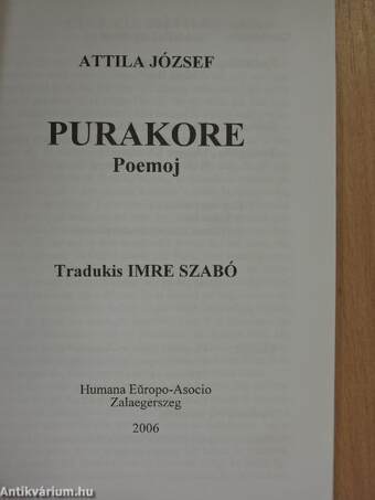 Purakore