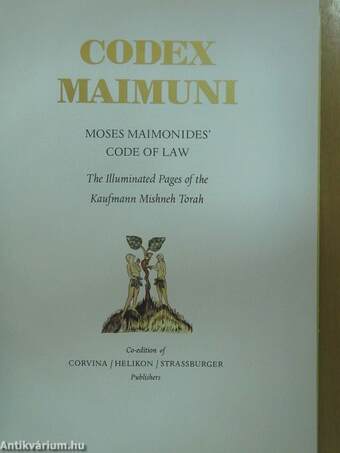 Codex Maimuni