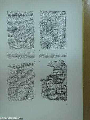 Codex Maimuni