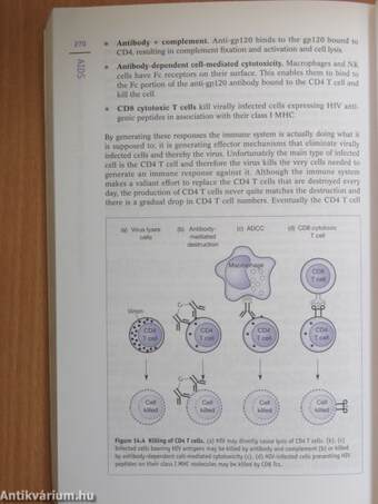 Understanding Immunology