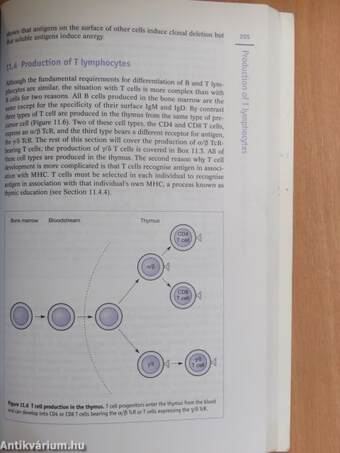 Understanding Immunology