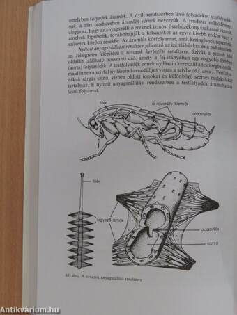 Biológia