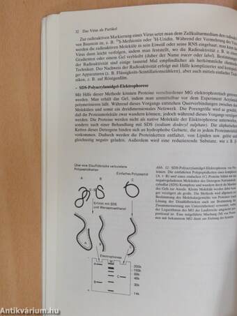 Kompendium der allgemeinen Virologie