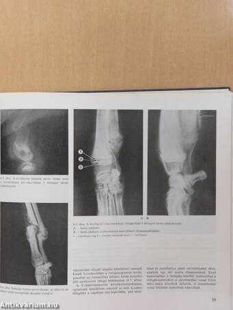 Állatorvosi röntgendiagnosztika