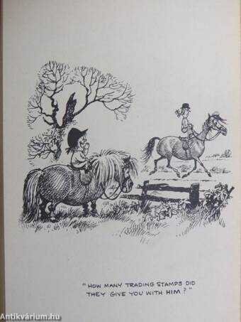 Thelwell's Riding Academy