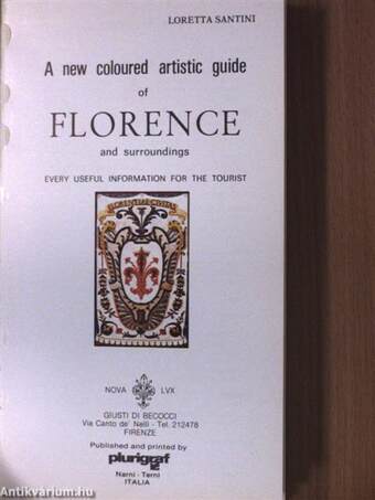 A new coloured artistic guide of Florence and surroundings