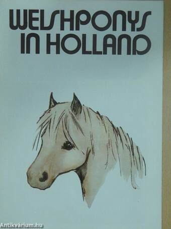Welshponys in Holland