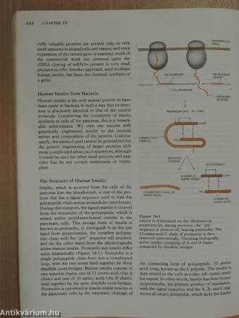 Recombinant DNA