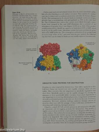 Biochemistry