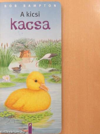 A kicsi kacsa