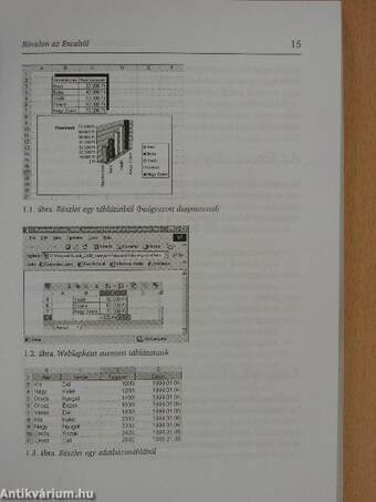 Egyszerűen Excel 2002 for Windows XP