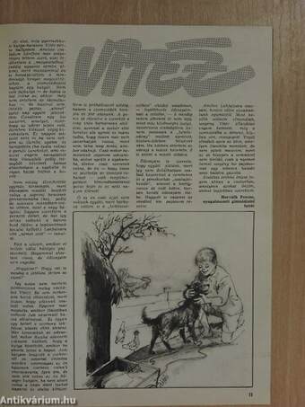 Pajtás 1979. február 22.