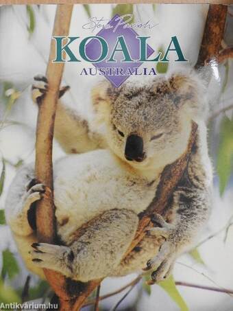 Koala - Australia