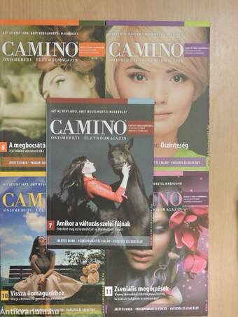 Camino 2012-2013. január-december