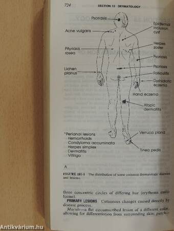 Harrison's Principles of Internal Medicine