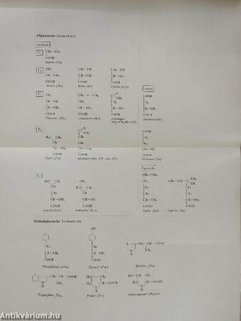 Medizinische Biochemie