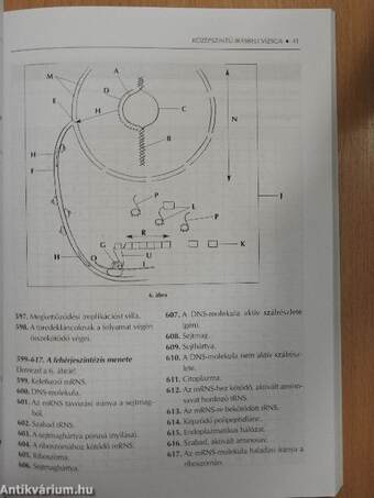 Így készülj a kétszintű érettségire biológiából!