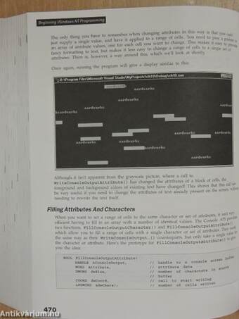 Beginning Windows NT Programming