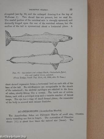 Guide to the gallery of fishes in the department of zoology of the British Museum (Natural History) (Ifj. Dr. Entz Géza könyvtárából)