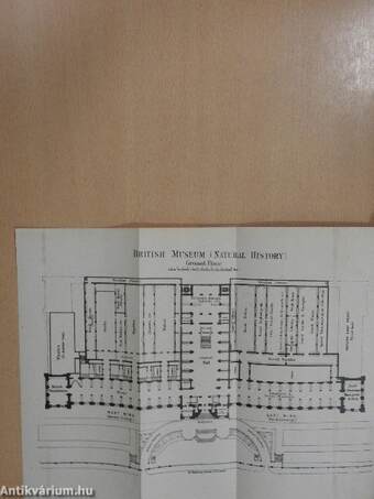 Guide to the coral gallery (protozoa, porifera or sponges, hydrozoa, and anthozoa) in the department of zoology British Museum (Natural History) (Ifj. Dr. Entz Géza könyvtárából)