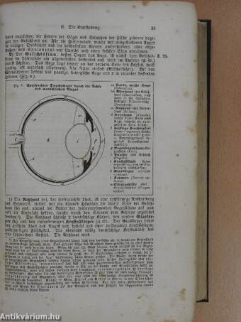 Synopsis der Naturgeschichte des Thierreichs I. (gótbetűs)