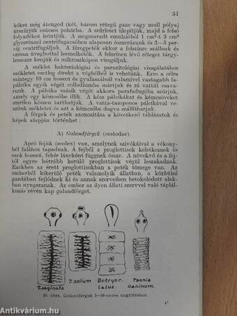 A gyakorló orvos laboratóriuma