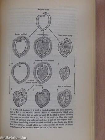 The Penguin Dictionary of Geology