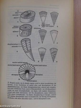 The Penguin Dictionary of Geology