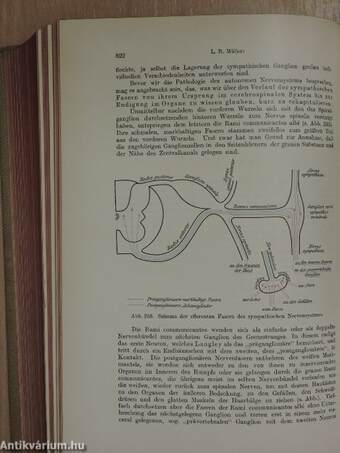 Lehrbuch der Nervenkrankheiten