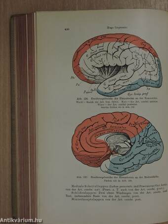 Lehrbuch der Nervenkrankheiten