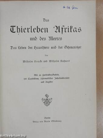 Das Thierleben Afrikas und des Meeres III. (gótbetűs) (Dr. Entz Géza könyvtárából)
