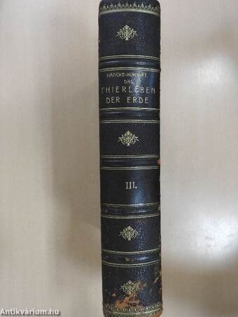 Das Thierleben Afrikas und des Meeres III. (gótbetűs) (Dr. Entz Géza könyvtárából)