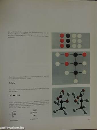 Herkunft und Gestalt der Industriellen Chemie in Basel