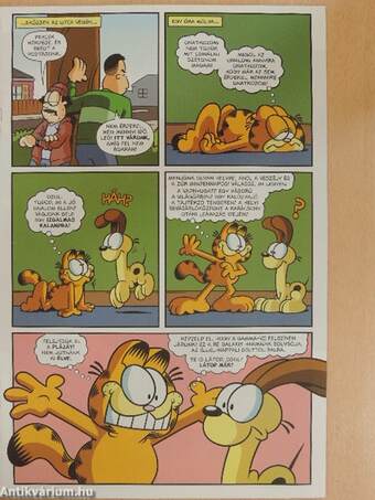 Garfield 15. Különszám