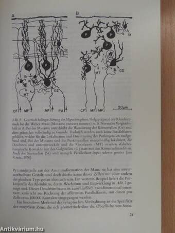 Teilleistungsstörungen im Kindesalter (dedikált példány)