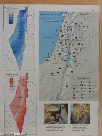 Atlas of the Bible Lands