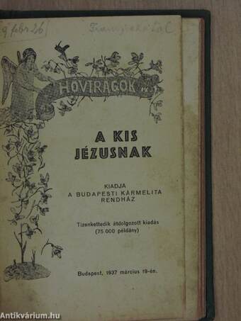 Hóvirágok a Kis Jézusnak