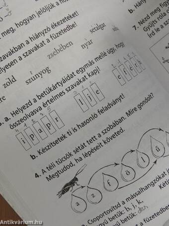 Nyelvtan tankönyv 7-8 éveseknek