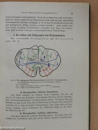 Kompendium der topischen Gehirn- und Rückenmarksdiagnostik