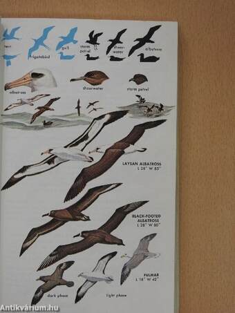 A Guide to Field Identification Birds of North America