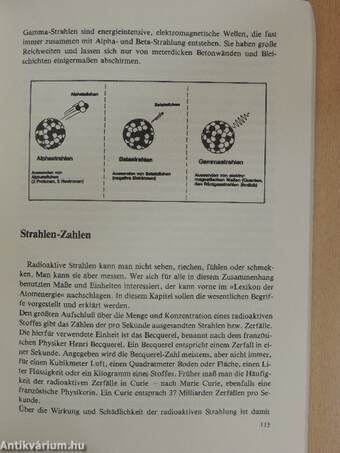 Der gefährliche Traum: Atomkraft